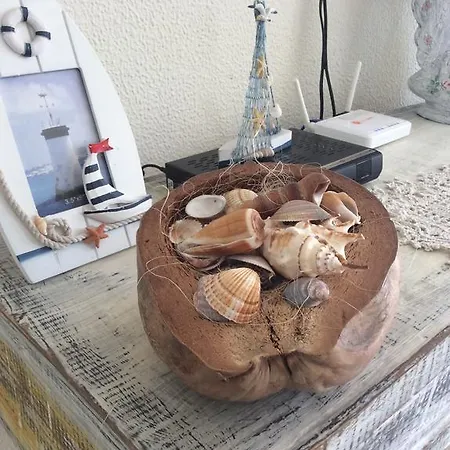 Dasoudi *
